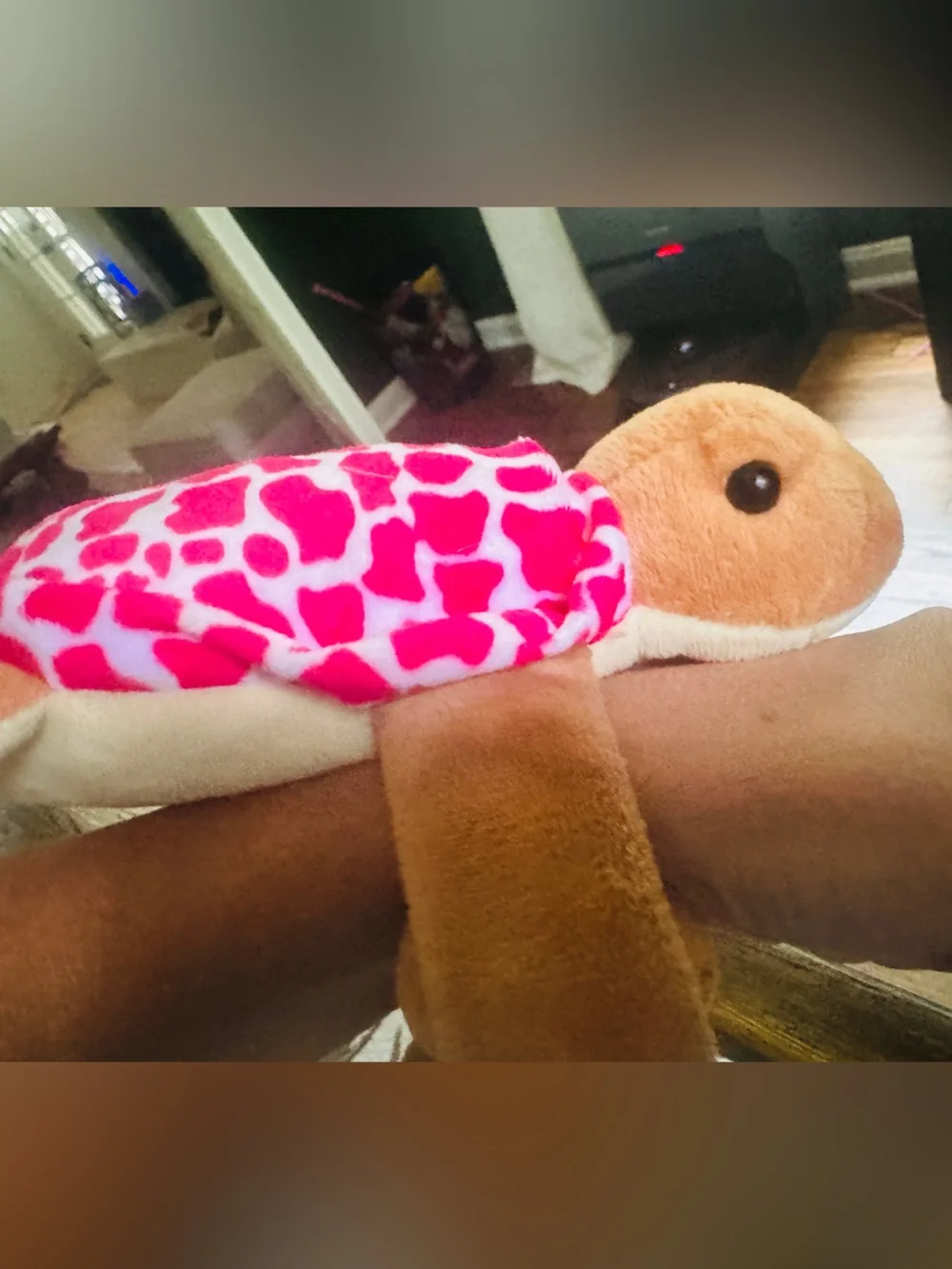 Plush Turtle Wrist Toy